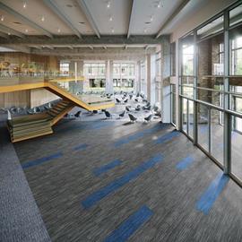Cover image for Entryway Systems: Liason and Frixtion