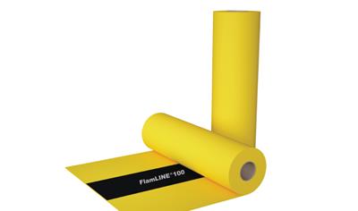 Cover image for FlamLINE® 100