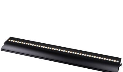 Cover image for ROBIN FOOTSIE2™ Slim