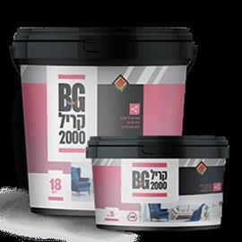 Cover image for BG CRYL 2000 paint