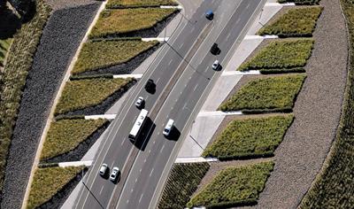 Cover image for Asphalt in New Zealand