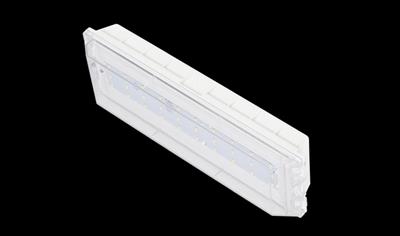 Cover image for Dakota Life