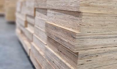 Cover image for Laminated vener lumber (LVL) for construction