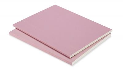 Cover image for Gypsum Plasterboard FIRE BA13
