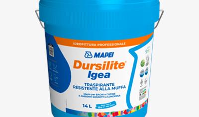 Cover image for Dursilite Igea