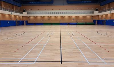 Cover image for Solid wood Flooring - CANICA®