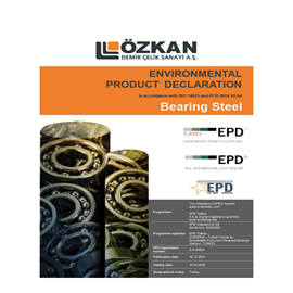 Cover image for Bearing Steel