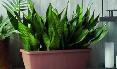 Cover image for Plant pots made of recycled plastic of the ‘Greener’ line