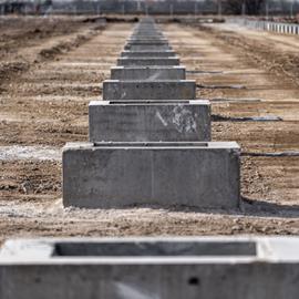 Cover image for Foundation