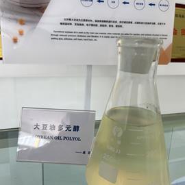 Cover image for Plant Oil Polyols (HM-10100, HM-10200, HM-1070, HM-13150, and HM-13160)