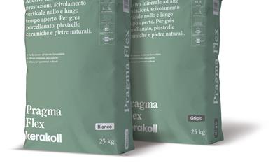 Cover image for Pragma Flex