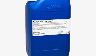 Cover image for Mapestone Joint Ghost