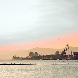 Cover image for CEM II/A-LL 42,5 R