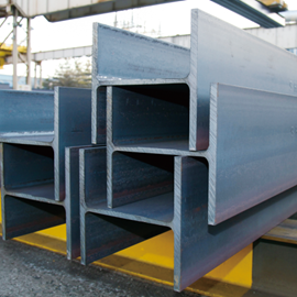 Cover image for Section Shape Steel