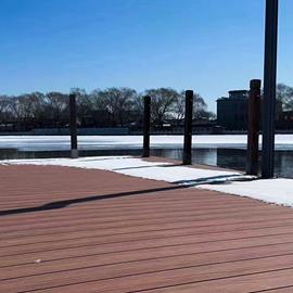 Cover image for Wood Plastic Composite (WPC)