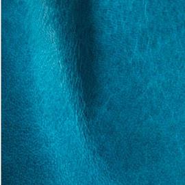 Cover image for ANILINE/FINISHED LEATHER