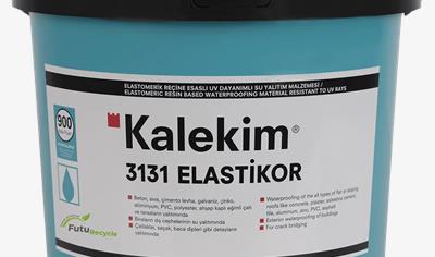 Cover image for Elastikor