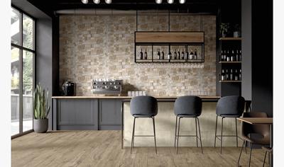 Cover image for Porcelain stoneware tiles