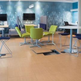 Cover image for FDEB4 Access Floor Panel