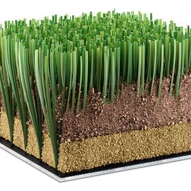 Cover image for Synthetic turf - 62 DOUBLE X PLUS ECOGREEN BIO GEO S