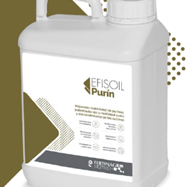 Cover image for EFISOIL  PURÍN