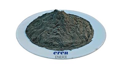 Cover image for Fly Ash