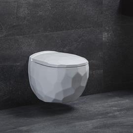 Cover image for WC Pan (Toilet Bowl)