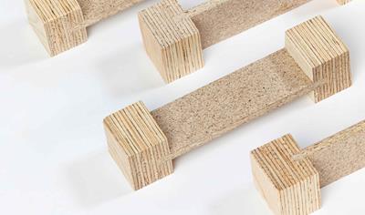 Cover image for VMG Lignum joist