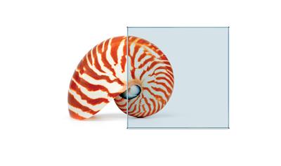 Cover image for Tinted Float Glass