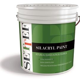 Cover image for Silacryl Paint