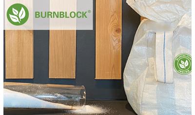 Cover image for Fire Retardants