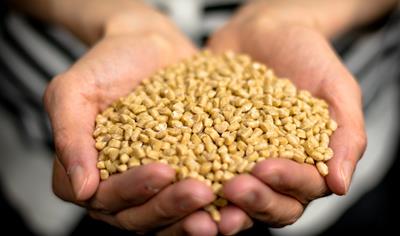 Cover image for DuraSense Eco Extrusion S30