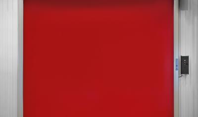 Cover image for Revolid Snabbrullport