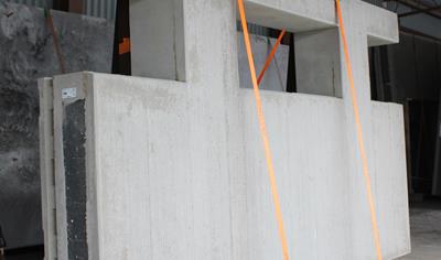 Cover image for Insulated sandwich walls