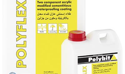 Cover image for Polyflex - UAE