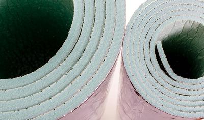 Cover image for Trocellen Class