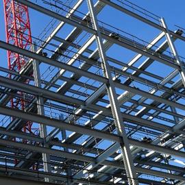 Cover image for Primed and painted steel structures