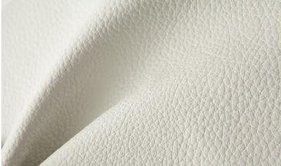 Cover image for SEMI-ANILINE/CORRECTED LEATHER