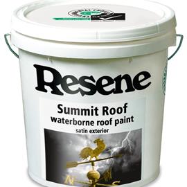 Cover image for Summit Roof 