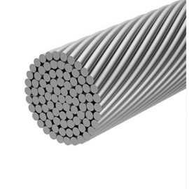 Cover image for Fune spiroidale
