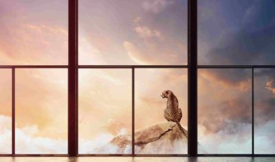 Cover image for Pilkington Mirai™ Annealed Glass