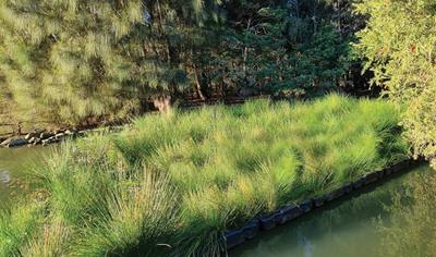 Cover image for Atlan Floating Treatment Wetlands