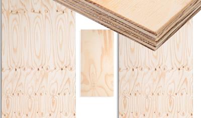 Cover image for Lavrasul Pine Plywood
