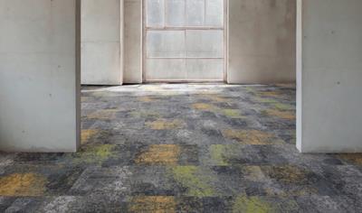 Cover image for TRINITY Collection