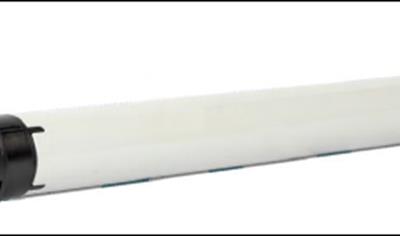 Cover image for Next Fit 