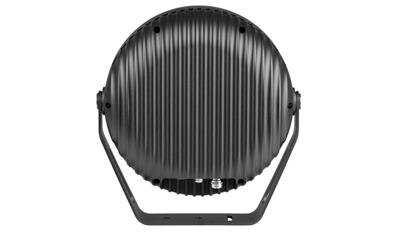 Cover image for Anolis Calumma™ XL SC