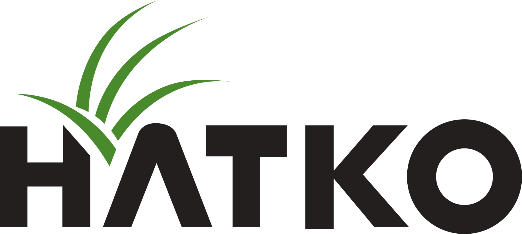 Hatko logo_page-0001.jpg