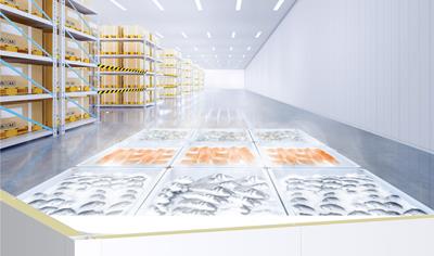 Cover image for COLORBOND® steel for Panel - Cool Room. Substrate AM15O coating at 0.40mm BMT