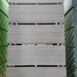 Cover image for Gyproc DuraLine Plus/MR 19mm 