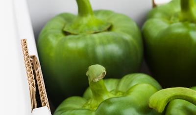 Cover image for Billerud Flute